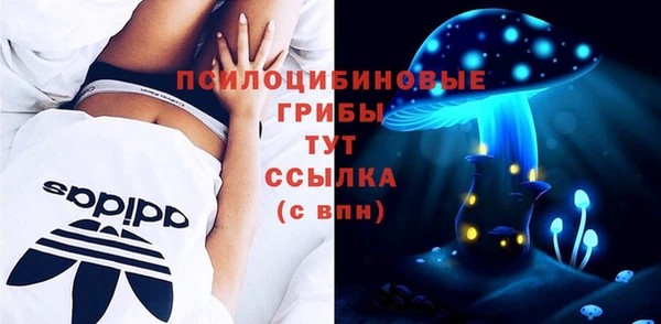 индика Пестово