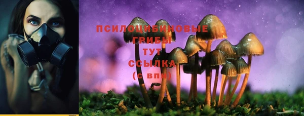 бутират Богданович