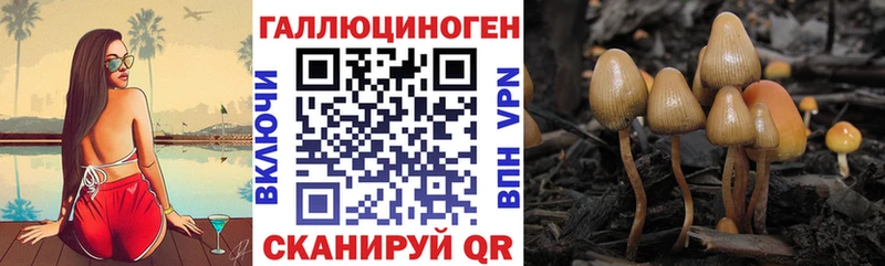 даркнет сайт  Венёв  hydra рабочий сайт  Галлюциногенные грибы мицелий 